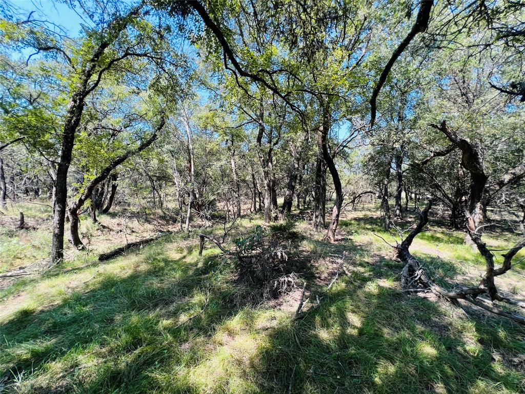 20 Ih Santo, TX 76472 - Photo 33 of 38 View of yard