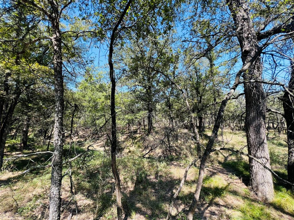 20 Ih Santo, TX 76472 - Photo 34 of 38 View of undeveloped land