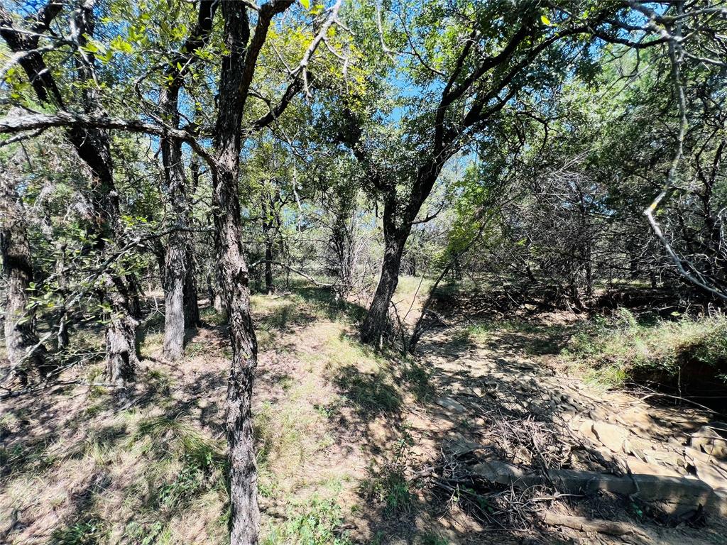 20 Ih Santo, TX 76472 - Photo 35 of 38 View of undeveloped land