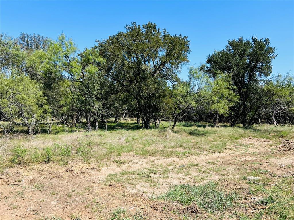 20 Ih Santo, TX 76472 - Photo 5 of 38 View of undeveloped land