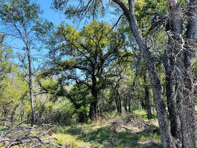 $440,000 | 20 Ih, Santo, TX 76472