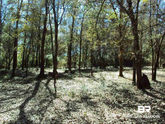 14066 George Younce Road Foley, AL 36535 - Photo 6 of 26