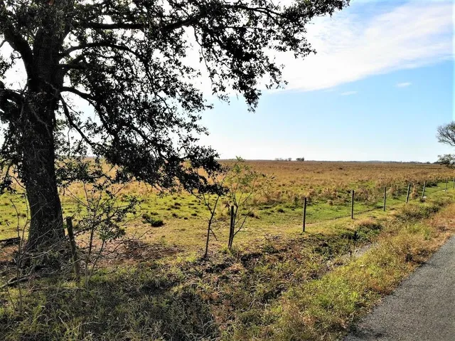 $98,500 | Blanchard Road, Welsh, LA 70591