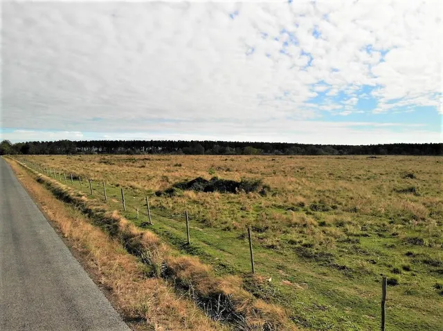 $98,500 | Blanchard Road, Welsh, LA 70591