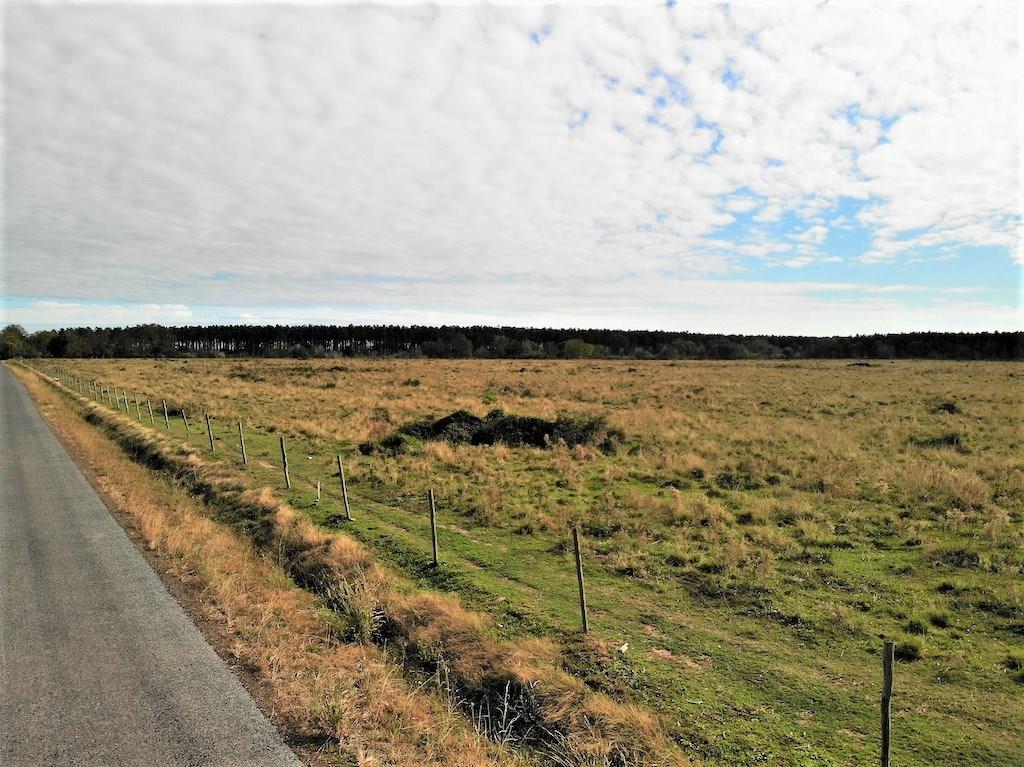 Blanchard Road Welsh, LA 70591 - Photo 6 of 9