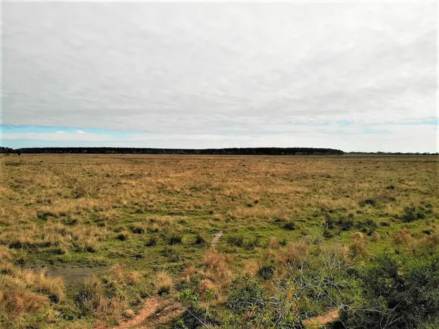 $98,500 | Blanchard Road, Welsh, LA 70591