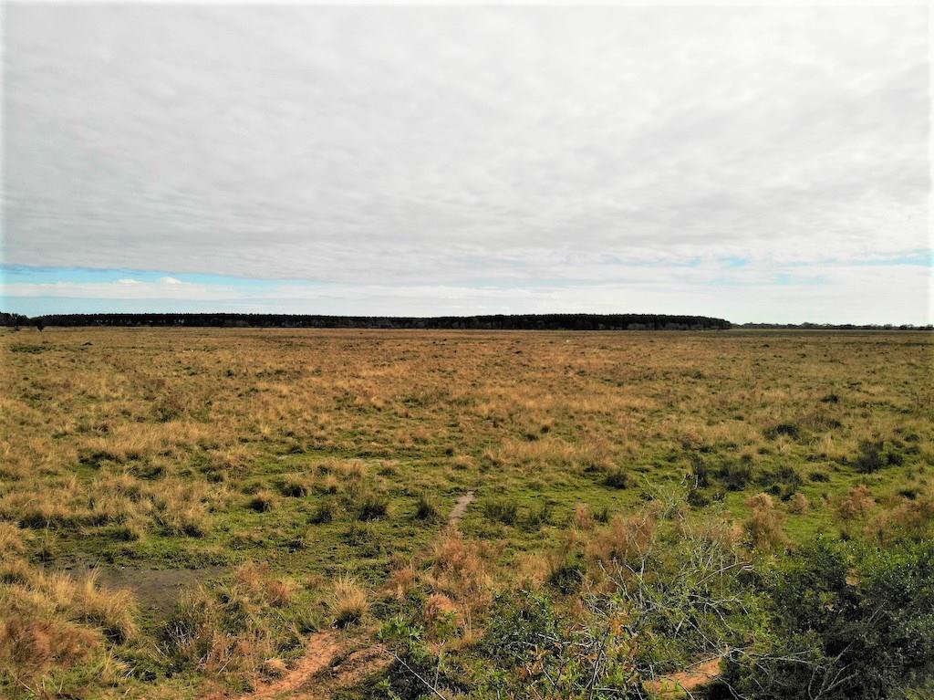 Blanchard Road Welsh, LA 70591 - Photo 7 of 9