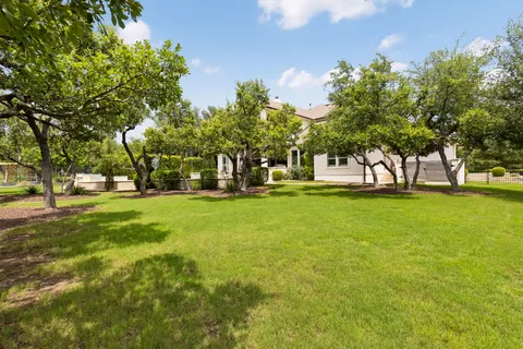 a view of park with tree s