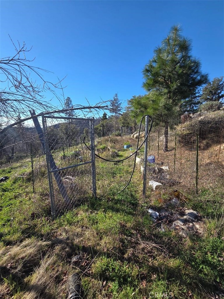 374 Jatko Road Berry Creek, CA 95916 - Photo 18 of 27 a view of a backyard