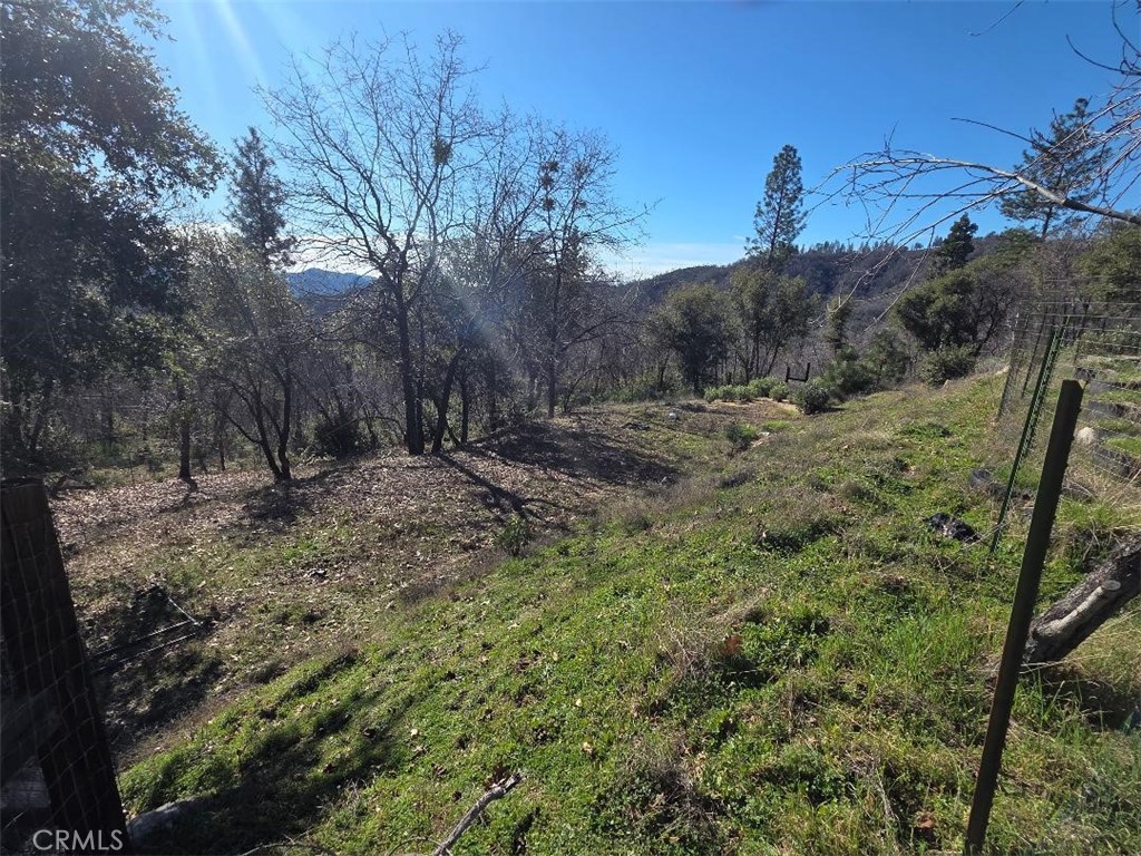 374 Jatko Road Berry Creek, CA 95916 - Photo 20 of 27 a view of a dry yard with trees