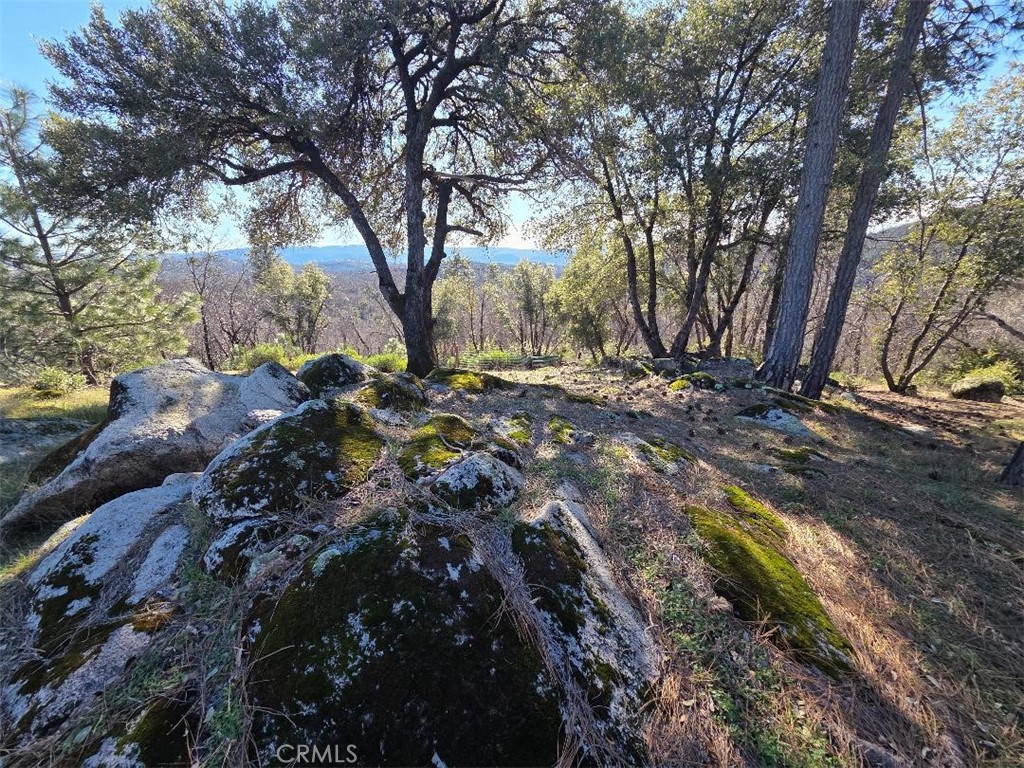374 Jatko Road Berry Creek, CA 95916 - Photo 2 of 27 a backyard of a house