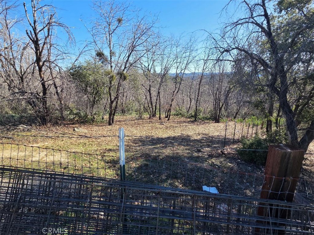 374 Jatko Road Berry Creek, CA 95916 - Photo 24 of 27 a view of dirt yard with a trees