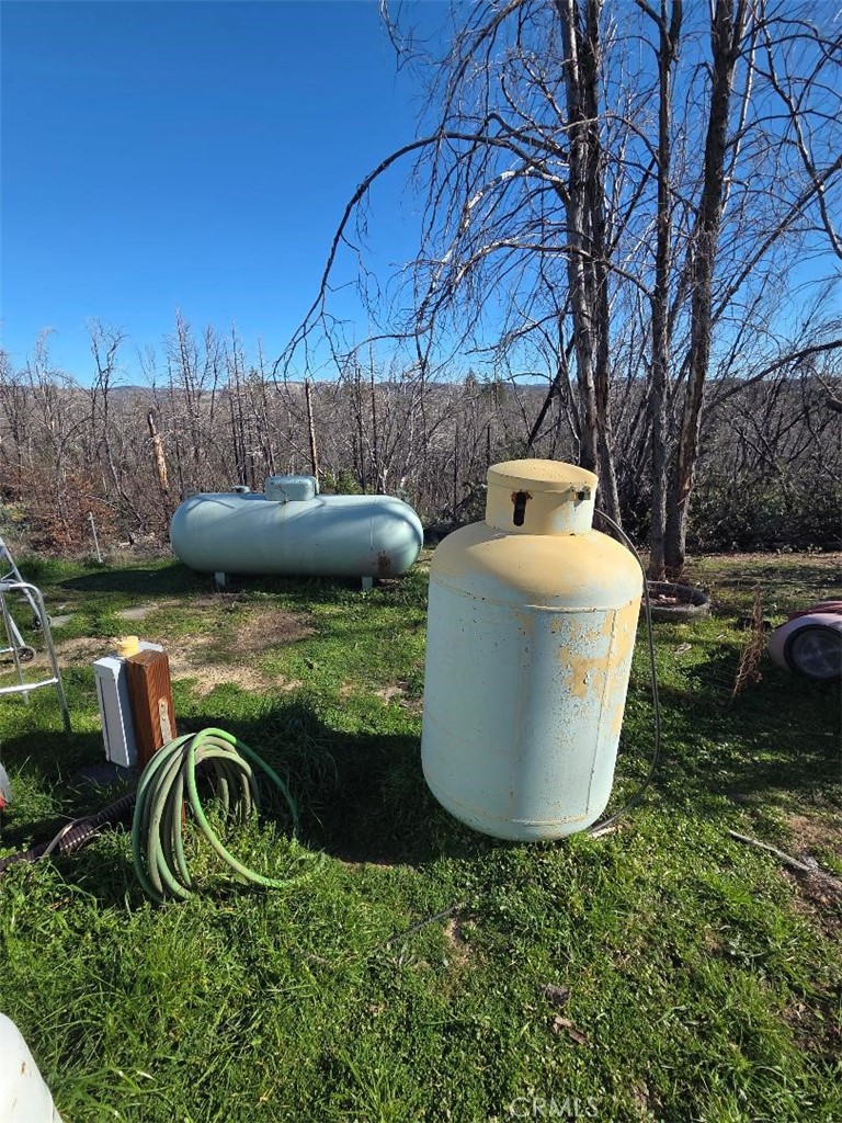 374 Jatko Road Berry Creek, CA 95916 - Photo 26 of 27 a view of a backyard with plants and garden
