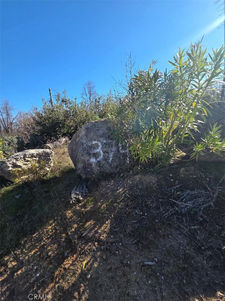 374 Jatko Road Berry Creek, CA 95916 - Photo 3 of 27 a view of a road with an outdoor space