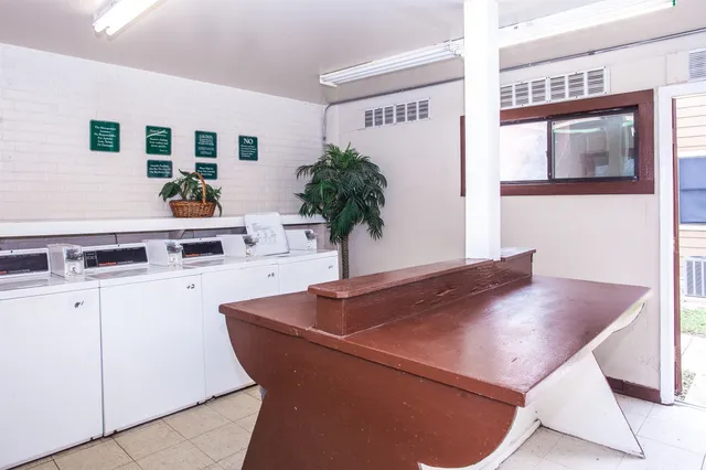 a living room with furniture and potted plant