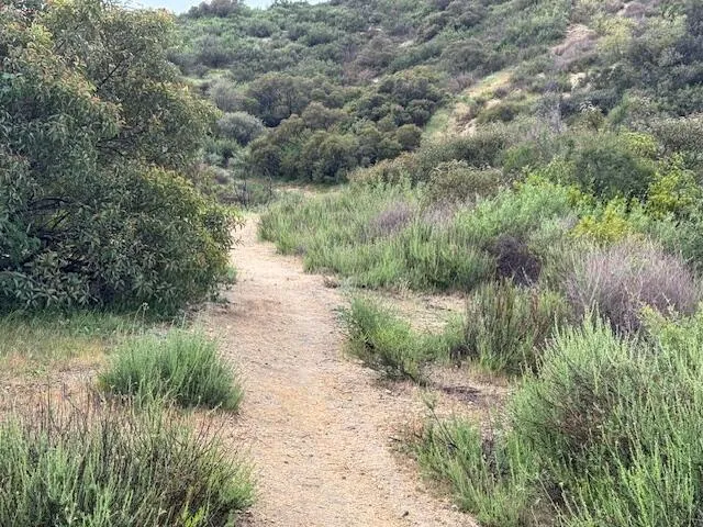 a view of a lake with mountains in the background