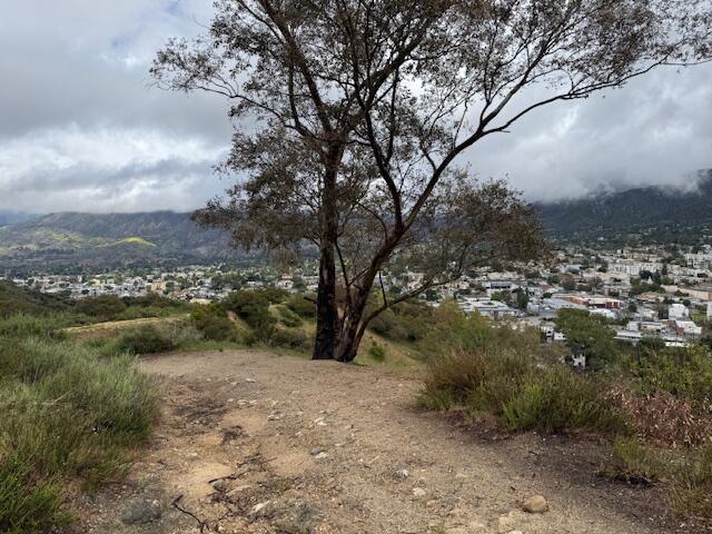 High Top Drive North Tujunga, CA 91042 - Photo 13 of 20 a view of a lake with mountains in the background