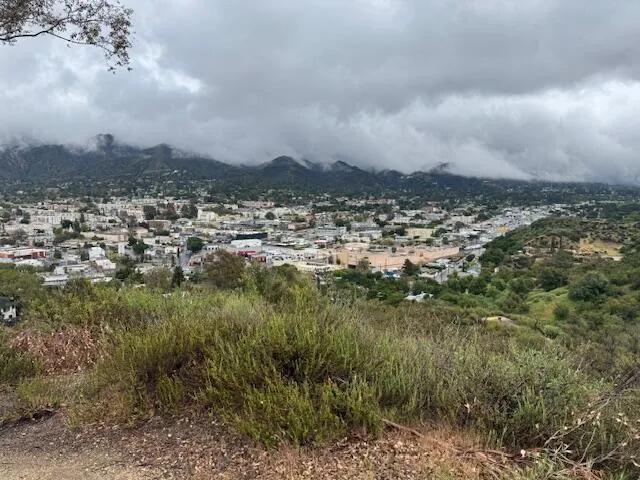 a view of a dry yard with trees in the background