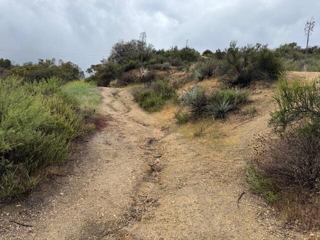High Top Drive North Tujunga, CA 91042 - Photo 15 of 20 a view of a dry yard with trees in the background