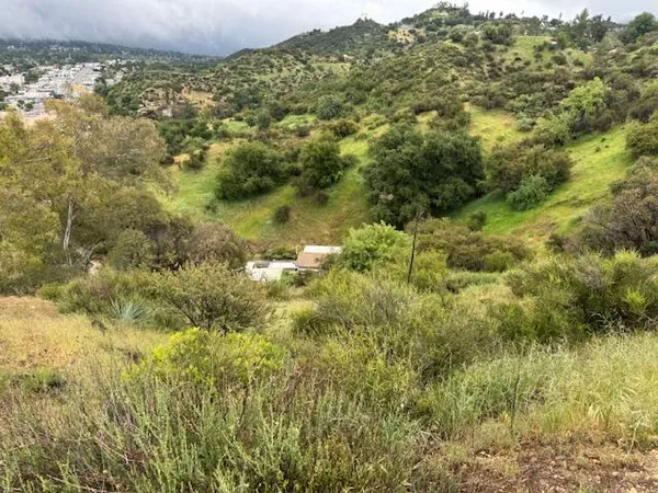 a view of a forest with a houses