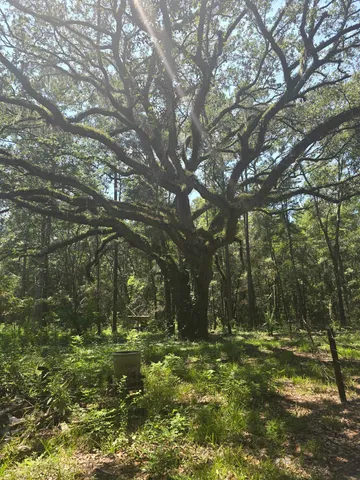 $90,000 | 350 Tall Pine Drive, Havana, FL 32333