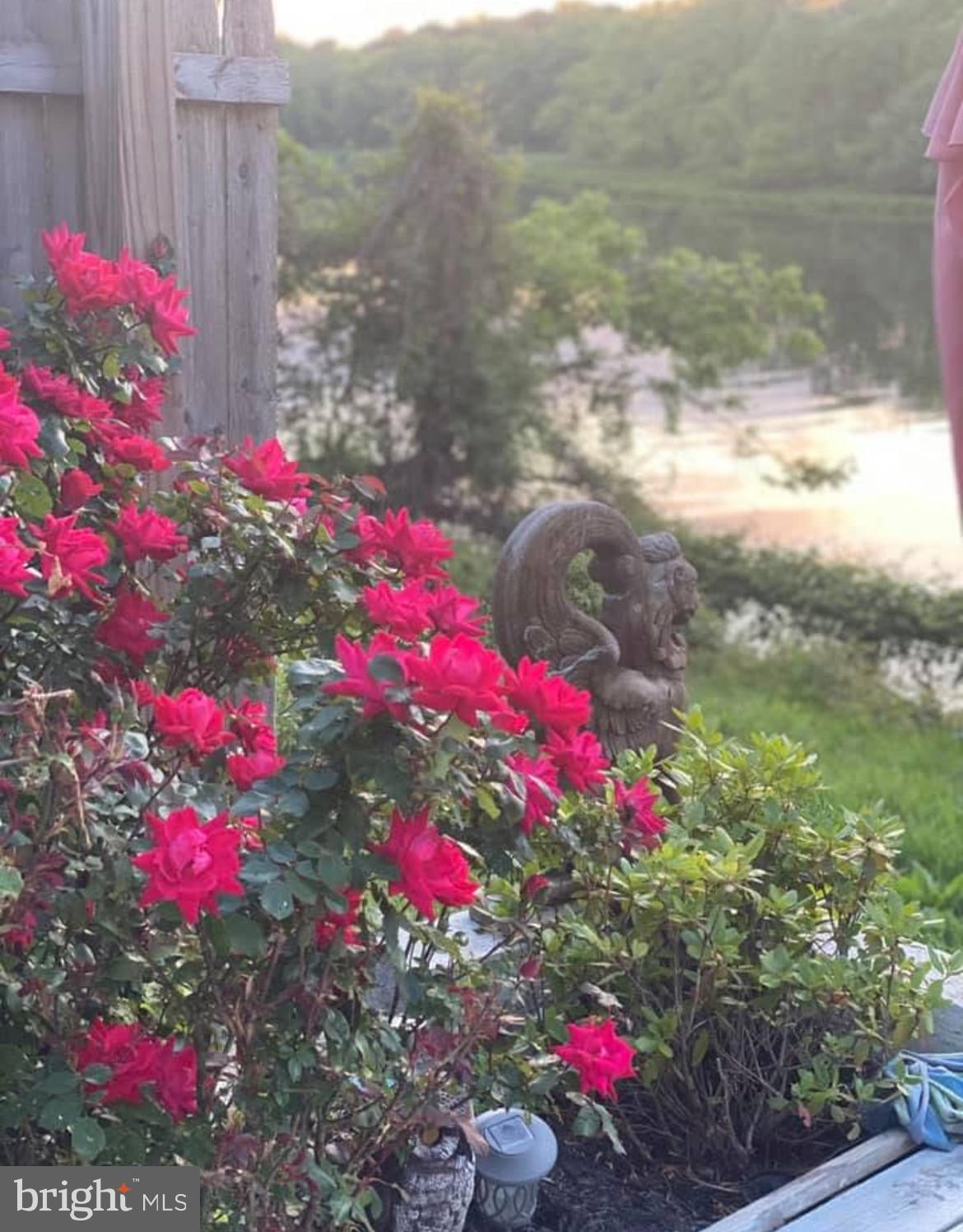 723 Newportville Road Croydon, PA 19021 - Photo 20 of 23 a view of a flower
