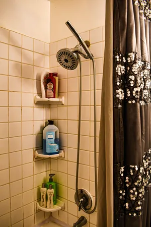 a bathroom with a shower and a glass door