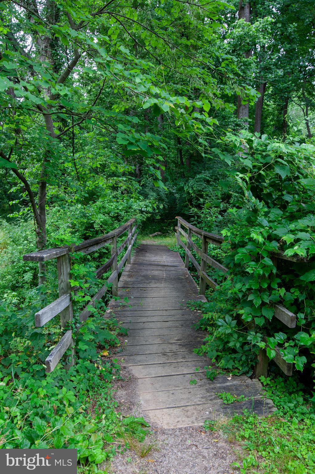 6034 Chesterbrook Road, Unit B McLean, VA 22101 - Photo 19 of 19 a view of a pathway of a garden