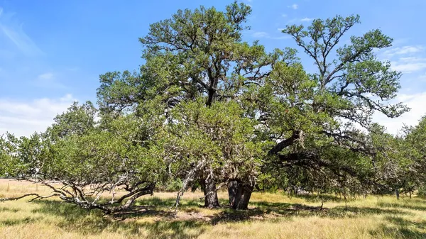 a view of an ocean and mountain