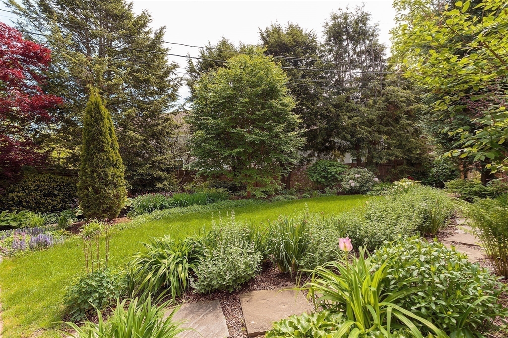 53 B Burroughs Street Boston, MA 02130 - Photo 30 of 41 a view of a garden with an trees