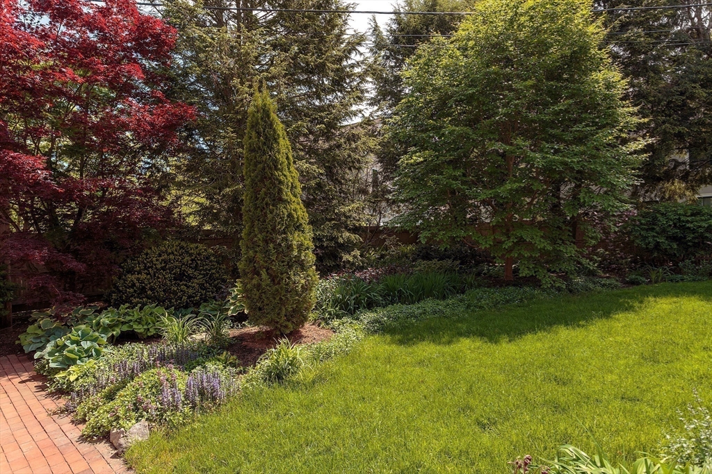 53 B Burroughs Street Boston, MA 02130 - Photo 34 of 41 a view of backyard with green space