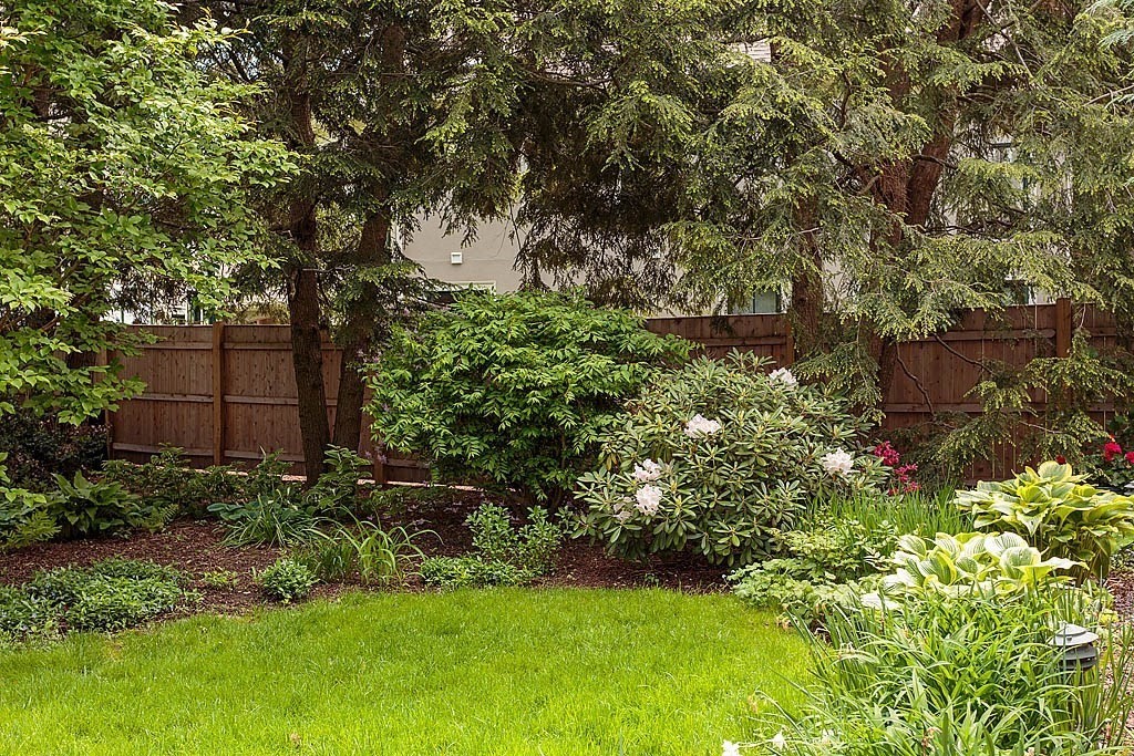 53 B Burroughs Street Boston, MA 02130 - Photo 36 of 41 a view of a garden with plants