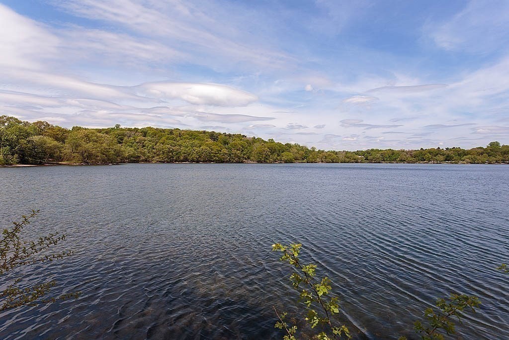 53 B Burroughs Street Boston, MA 02130 - Photo 40 of 41 a view of lake