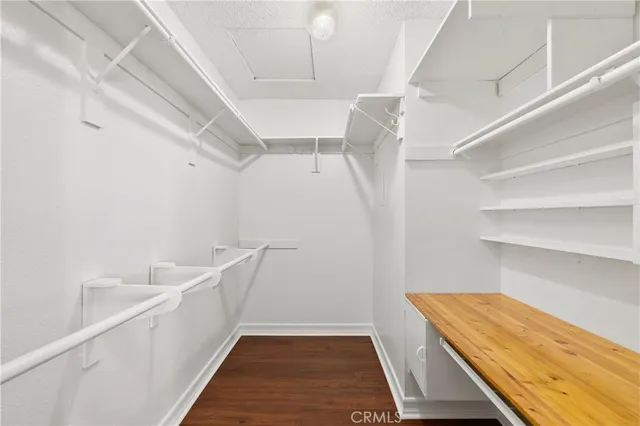 a close up of a plant in a garden