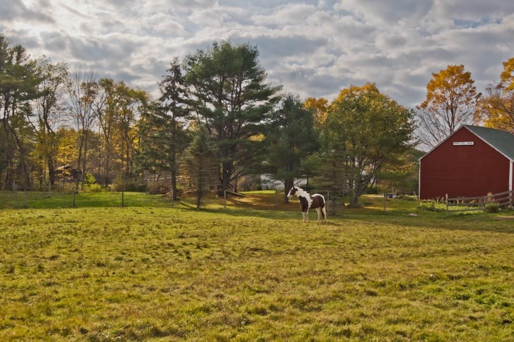 12 Roos Hill Road Freeport, ME 04032 - Photo 34 of 35 upon entering the subdivision....