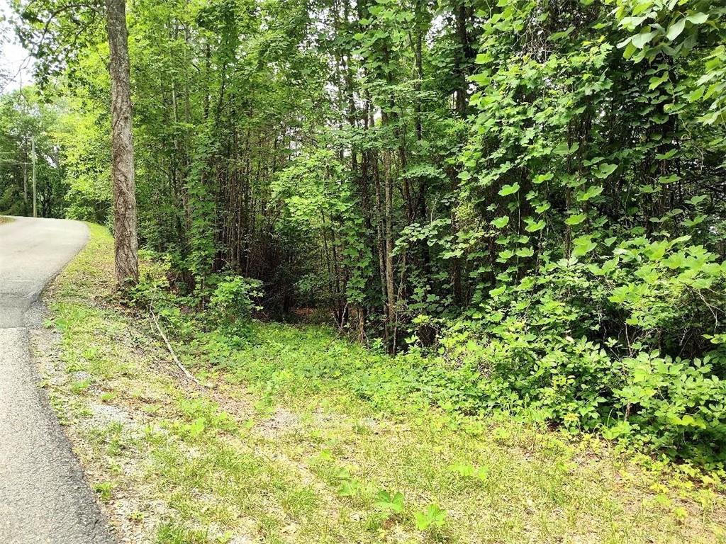 330 Adair Drive Ranger, GA 30734 - Photo 6 of 12