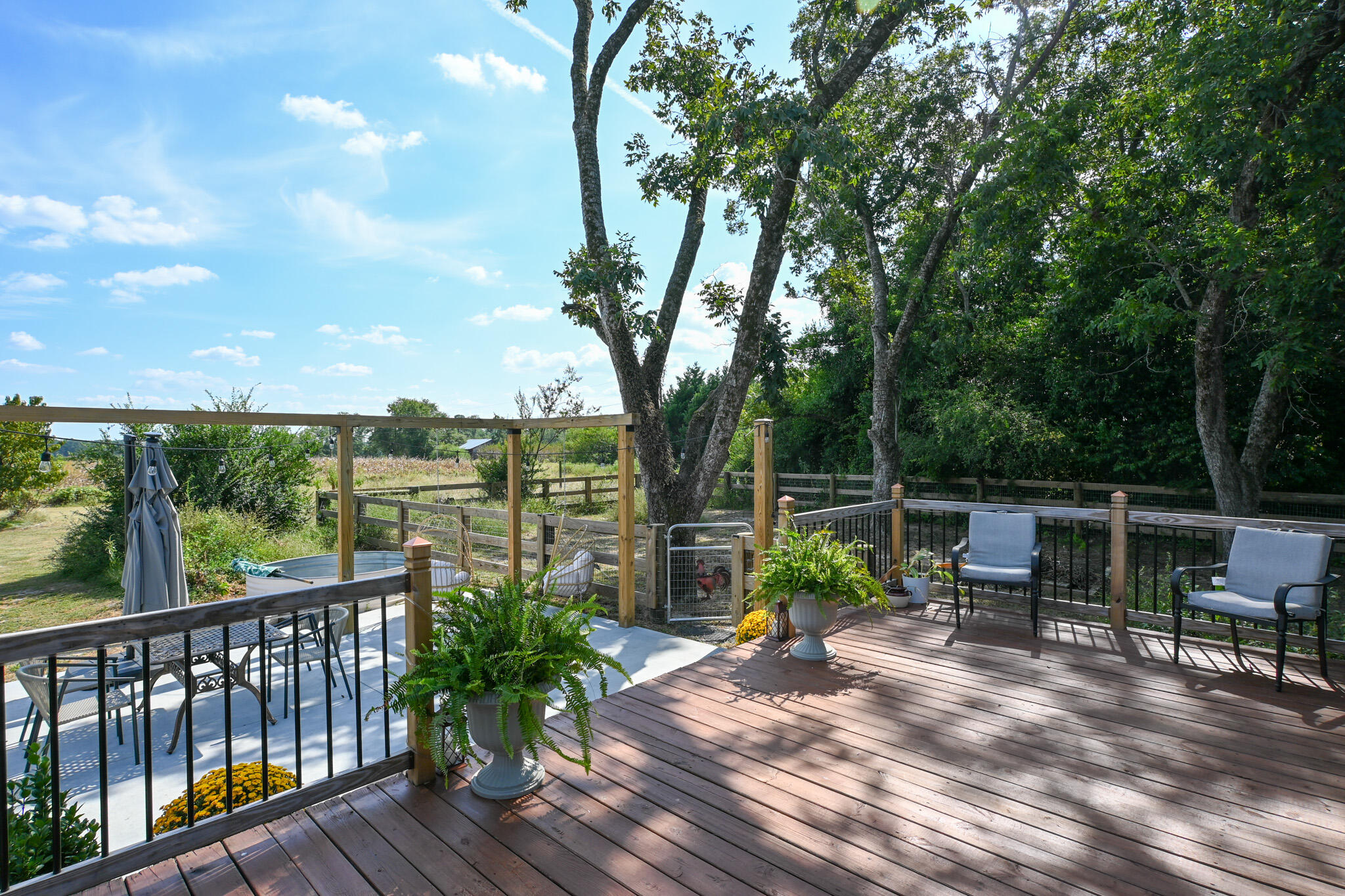 1339 McCreight Road Ridge Spring, SC 29129 - Photo 45 of 62