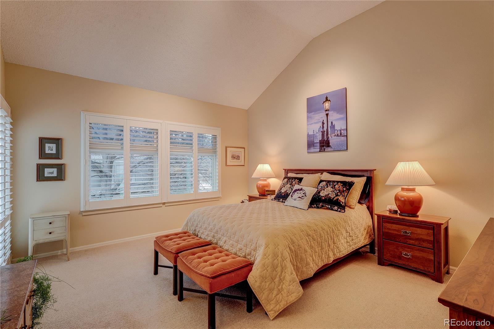 8849 Blue Mountain Place Highlands Ranch, CO 80126 - Photo 14 of 50