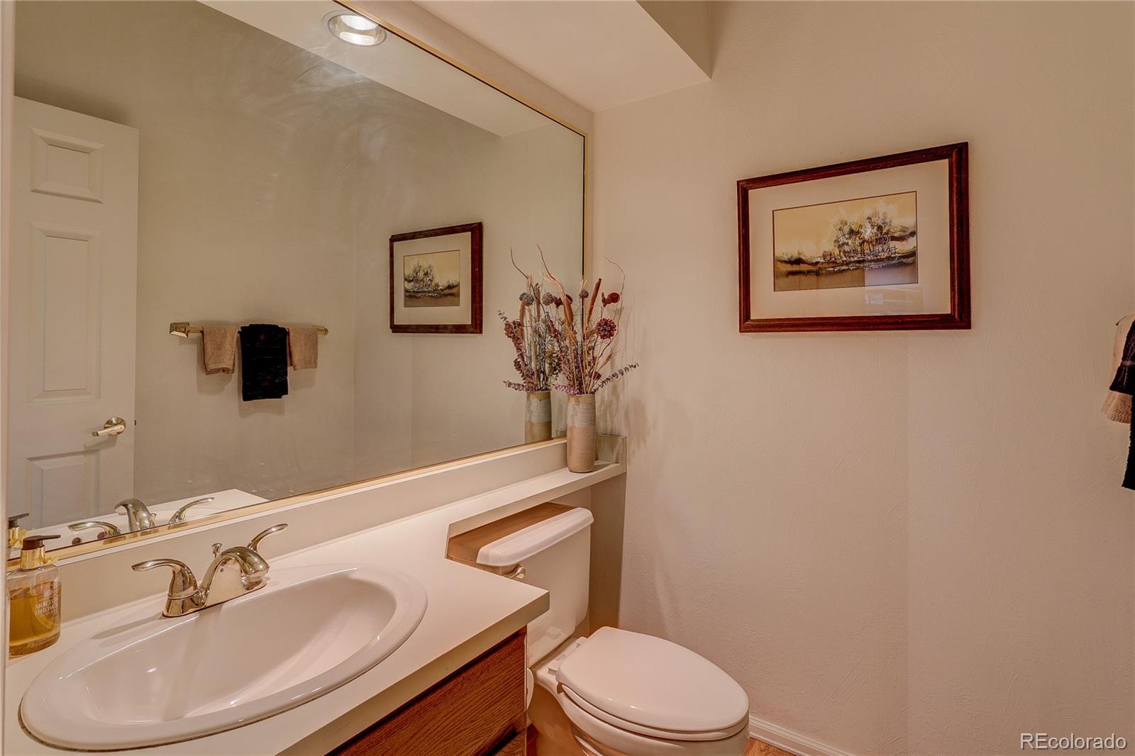 8849 Blue Mountain Place Highlands Ranch, CO 80126 - Photo 19 of 50