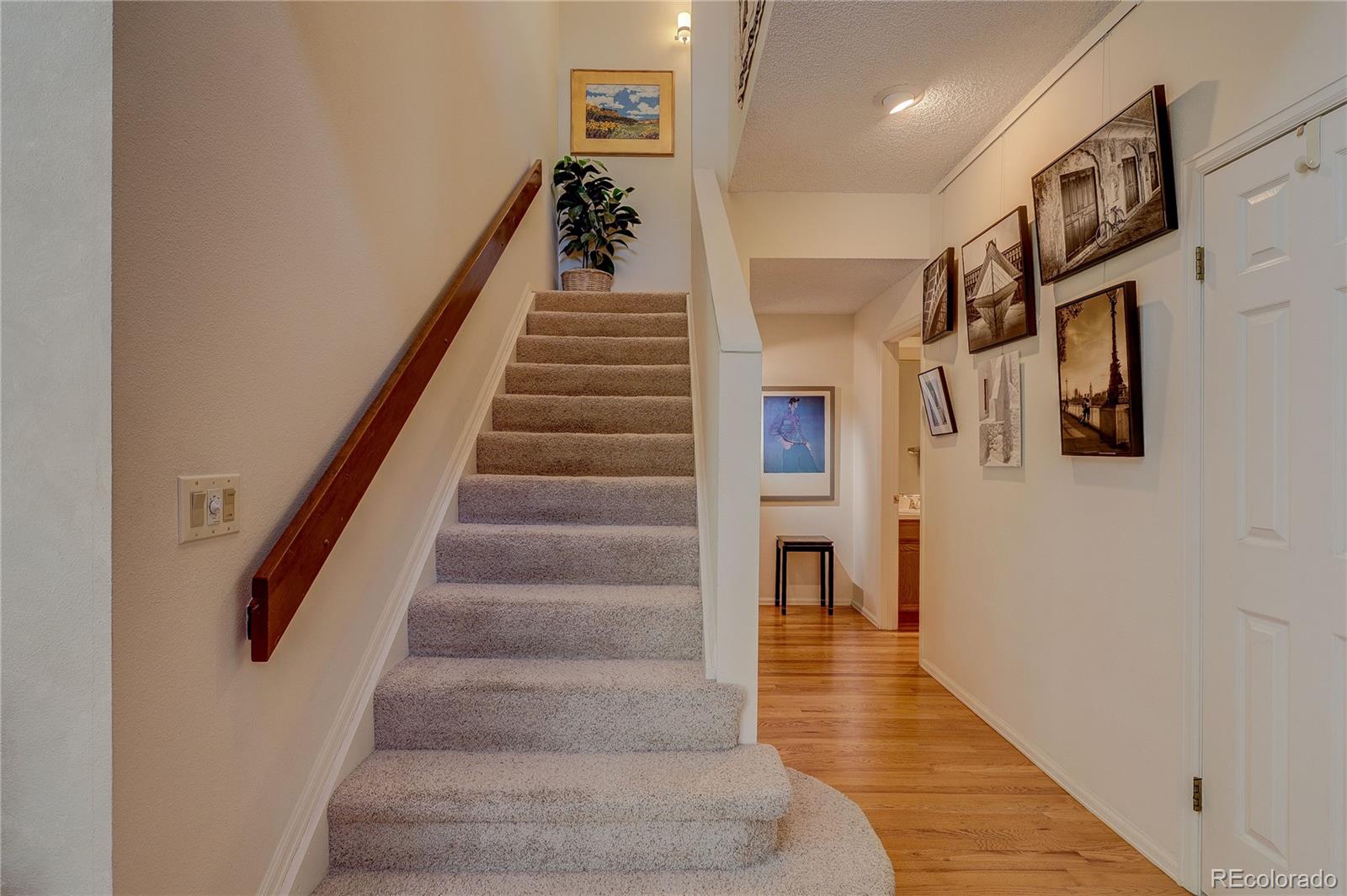 8849 Blue Mountain Place Highlands Ranch, CO 80126 - Photo 20 of 50