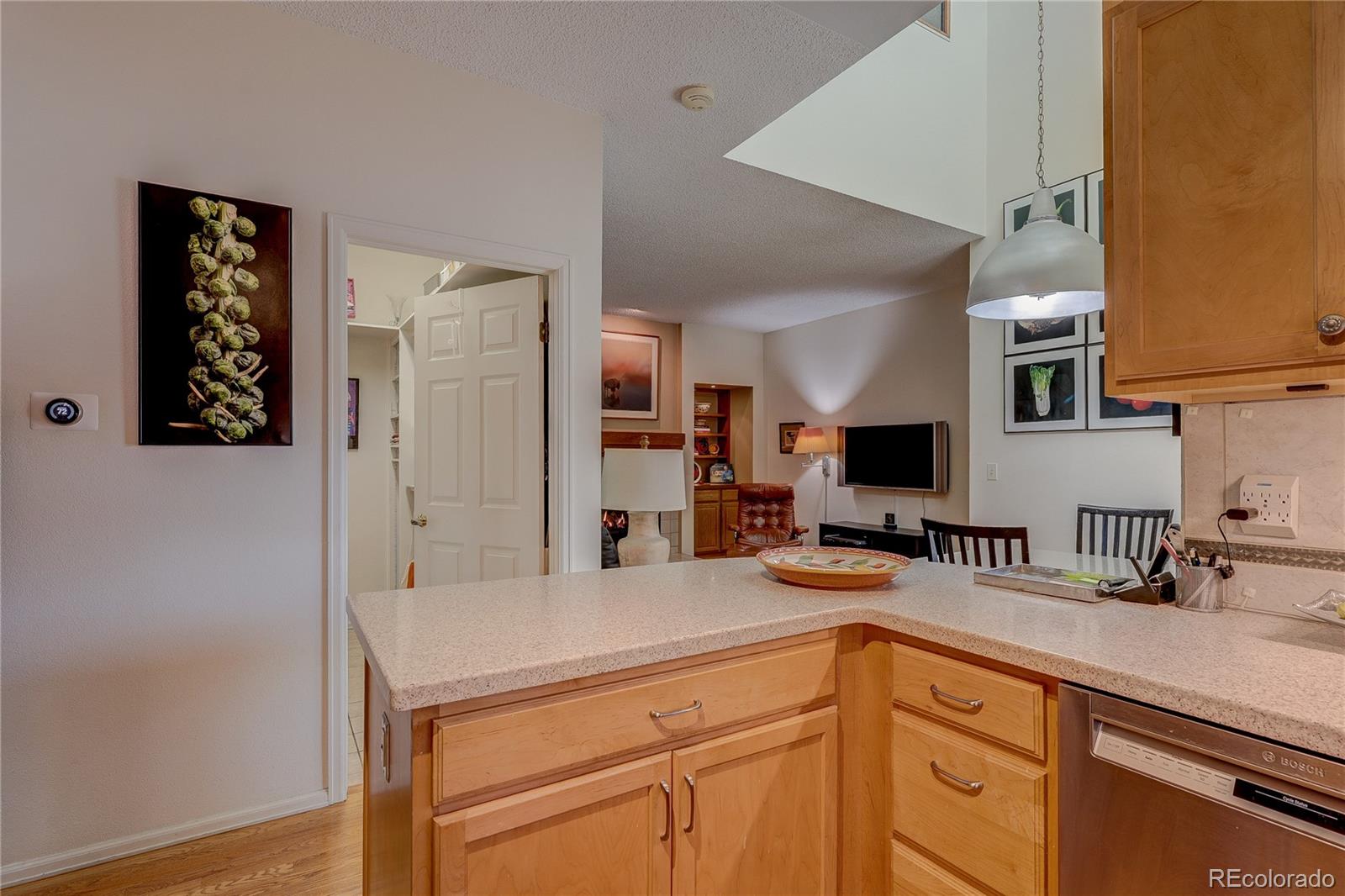 8849 Blue Mountain Place Highlands Ranch, CO 80126 - Photo 9 of 50