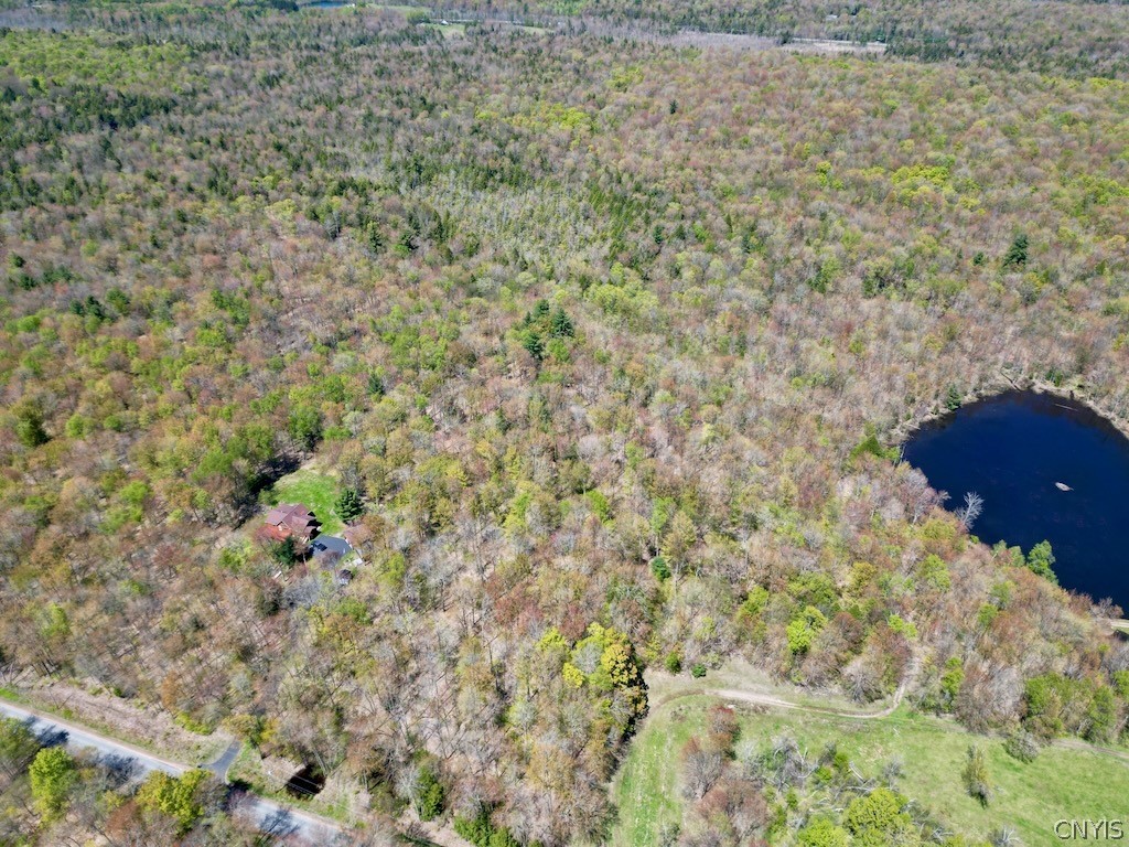 0 North Hillsborough Road Camden, NY 13316 - Photo 15 of 16