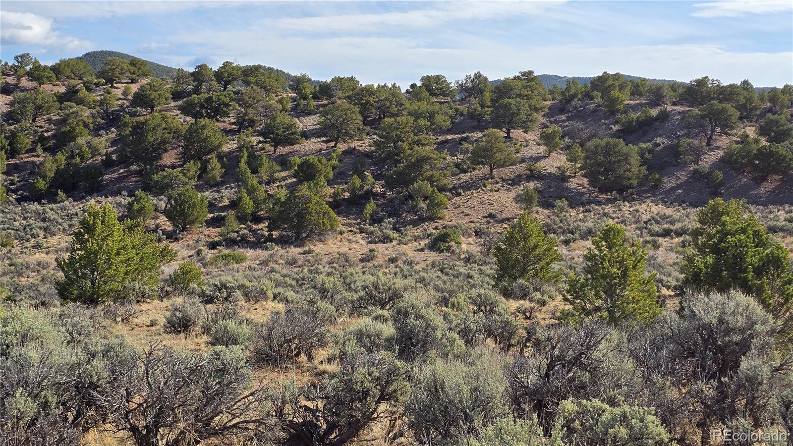Lot 7340 Sweaney Road Fort Garland, CO 81133 - Photo 23 of 31 Gallery Image 23