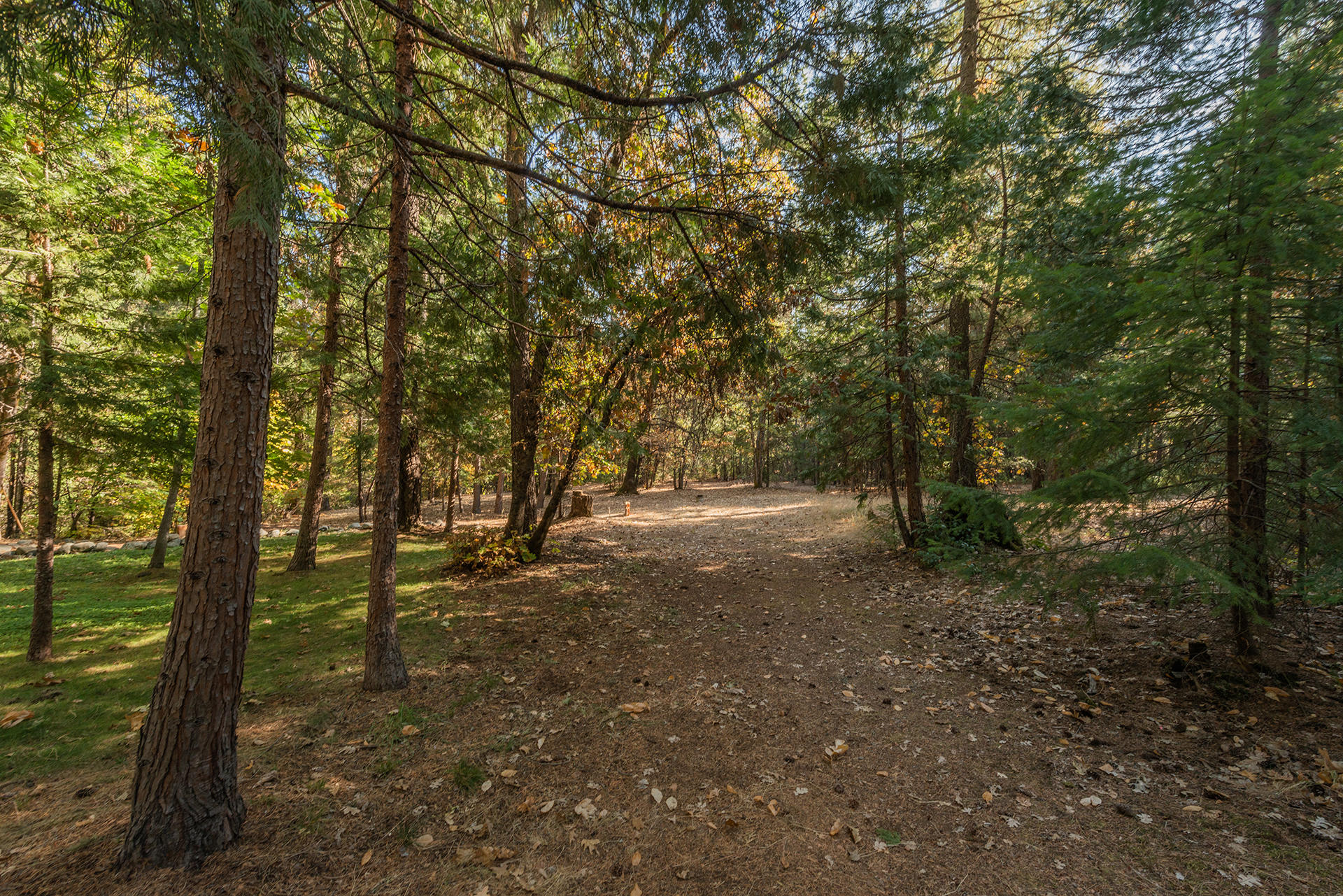 71 Acres Off Trinity Meadows, Unit NONE Trinity Center, CA 96091 - Photo 3 of 49