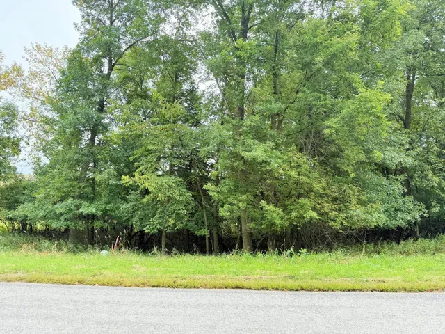 $47,000 | L2-b2 L2-b2 83rd Street Northeast, Spicer, MN 56288