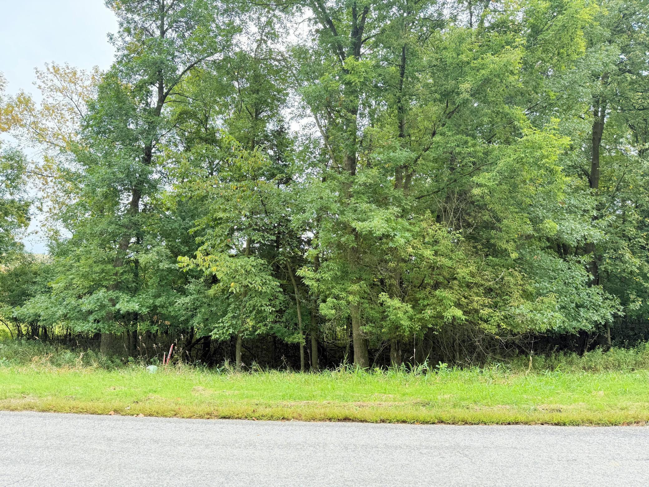 L2-b2 L2-b2 83rd Street Northeast Spicer, MN 56288 - Photo 16 of 27