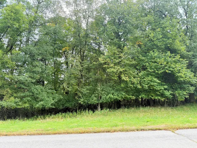 $47,000 | L2-b2 L2-b2 83rd Street Northeast, Spicer, MN 56288