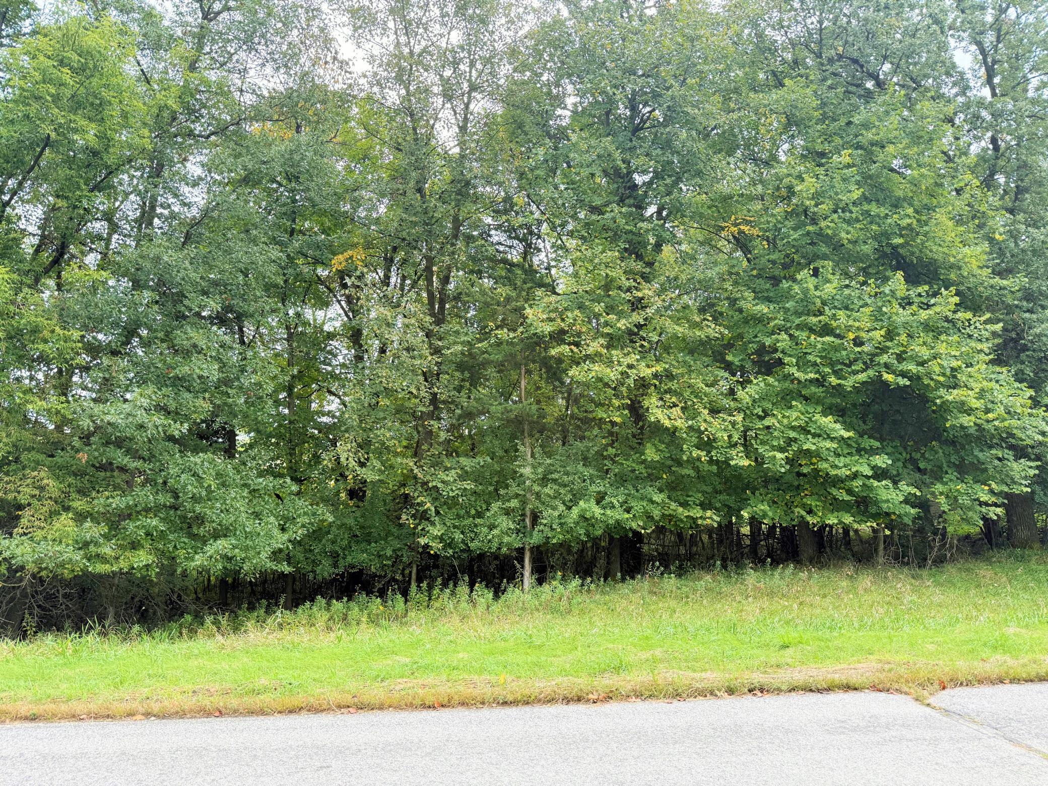 L2-b2 L2-b2 83rd Street Northeast Spicer, MN 56288 - Photo 18 of 27