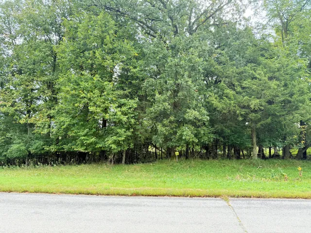 $47,000 | L2-b2 L2-b2 83rd Street Northeast, Spicer, MN 56288