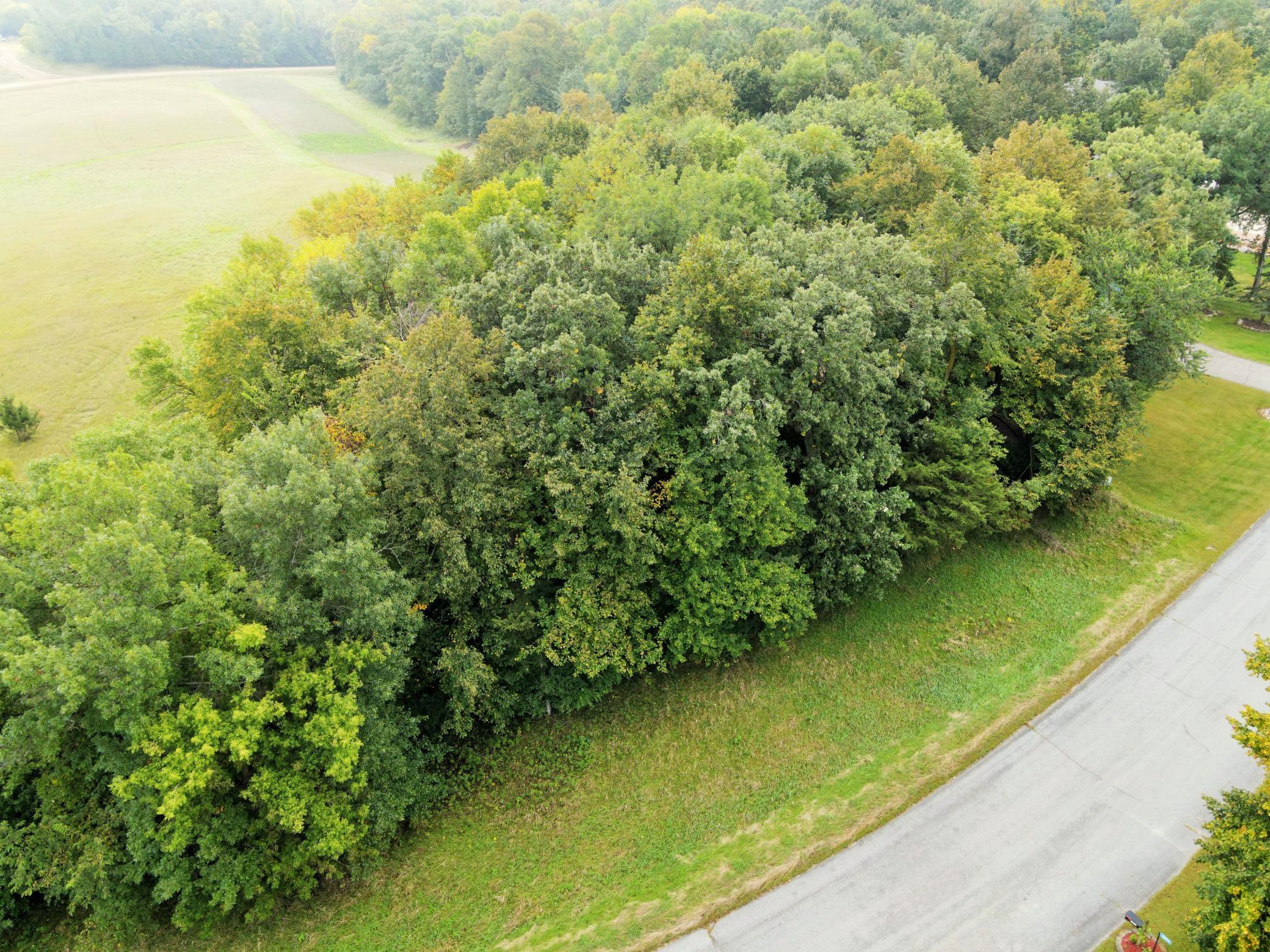 L2-b2 L2-b2 83rd Street Northeast Spicer, MN 56288 - Photo 6 of 27